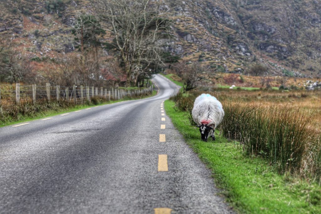 Your first International Destination should have wide roads.